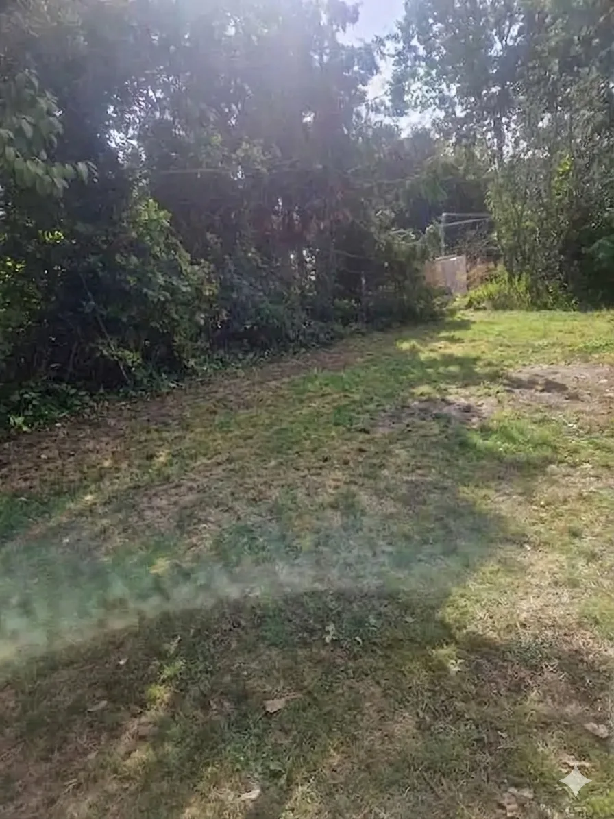 After Rubbish Clearances in Torpoint