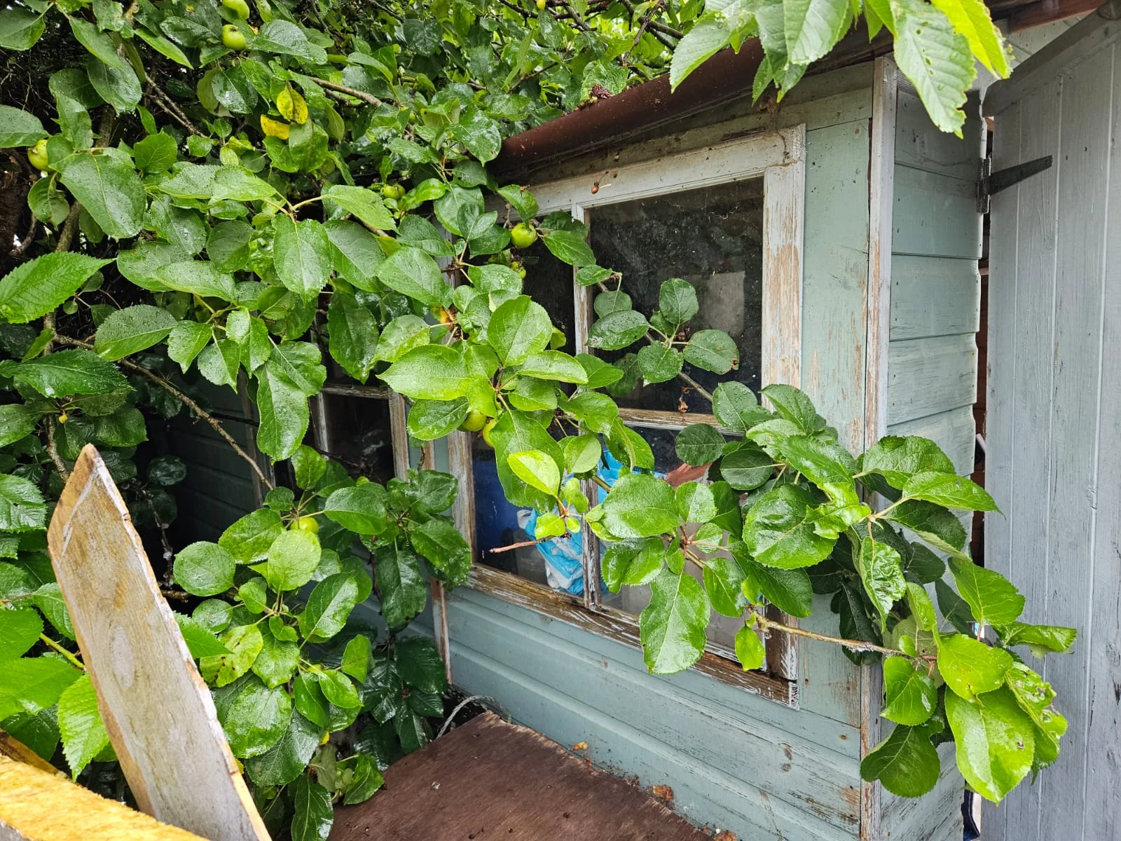 Before property clearance in St Mabyn
