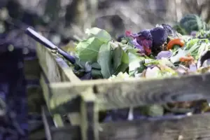Garden Rubbish Removal