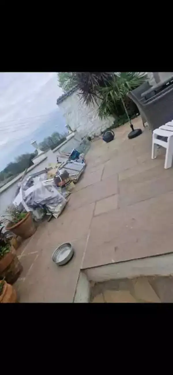 Professional team working efficiently